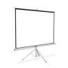 Pantalla proyección tripie 100 pulgadas Qian QPD69602 100 pulgadas Color blanco TL1