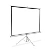 Pantalla proyección tripie 100 pulgadas Qian QPD69602 100 pulgadas Color blanco TL1