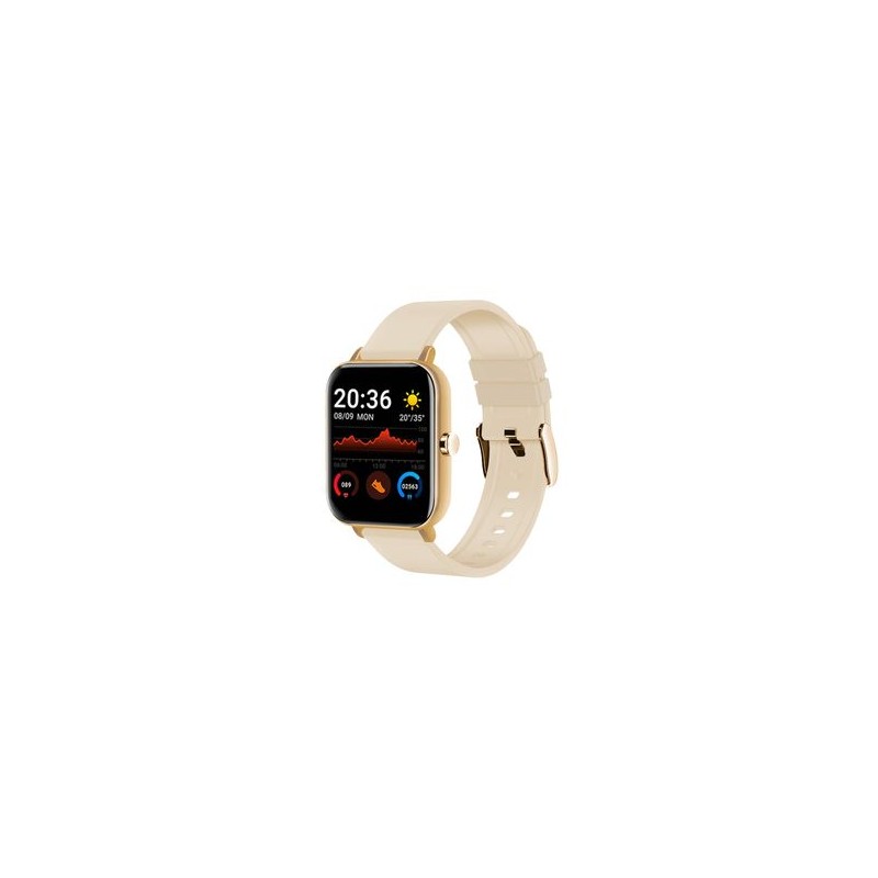 SMARTWATCH SW2 DORADO STYLOS STASWM3CD 6005460