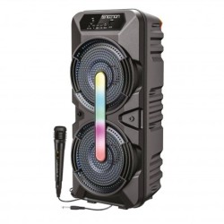 Bafle Karoke NECNON Bluetooth Doble 6.5 pulgadas NB06B TWS Incluye Microfono Alambrico Radio FM Micro SD USB Barra De Luz LED 65