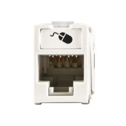 Jack Ultramax Cat5e Utp Montaje Hibrido En Placa De Pared (plano Y Angulado) Color Blanco Punch Down
