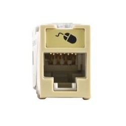 Jack Ultramax Cat6 Utp Montaje Hibrido En Placa De Pared (plano Y Angulado) Color Marfil Punch Down