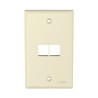 Placa De Pared Vertical Salida Para 2 Puertos Keystone Color Marfil