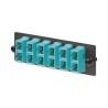 Placa Acopladora De Fibra Optica Fap Con 6 Conectores Sc Duplex (12 Fibras) Para Fibra Multimodo Om3/om4 Color Aqua
