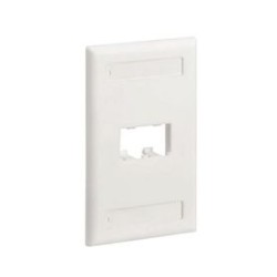 Placa De Pared Vertical Clásica Salida Para 2 Puertos Minicom Con Espacios Para Etiquetas Color Blanco