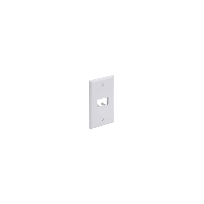 Placa De Pared Vertical Clásica Salida Para 2 Puertos Minicom Color Blanco