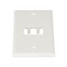 Placa De Pared Vertical Clásica Salida Para 2 Puertos Minicom Color Blanco Mate