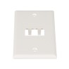 Placa De Pared Vertical Clásica Salida Para 2 Puertos Minicom Color Blanco Mate