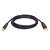 Cable USB TRIPPLITE 18 m USB A USB B Macho/Macho Negro TL1