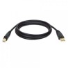 Cable USB TRIPPLITE 18 m USB A USB B Macho/Macho Negro TL1