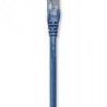318983 CABLE PATCH 2.0m Cat 5e UTP AZUL TL1