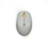 Mouse WIRELESS GETTTECH GAC24407G COLORFUL Gris SBNB600