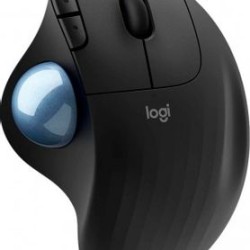 Mouse LOGITECH 910005869 Negro Inalámbrico TL1