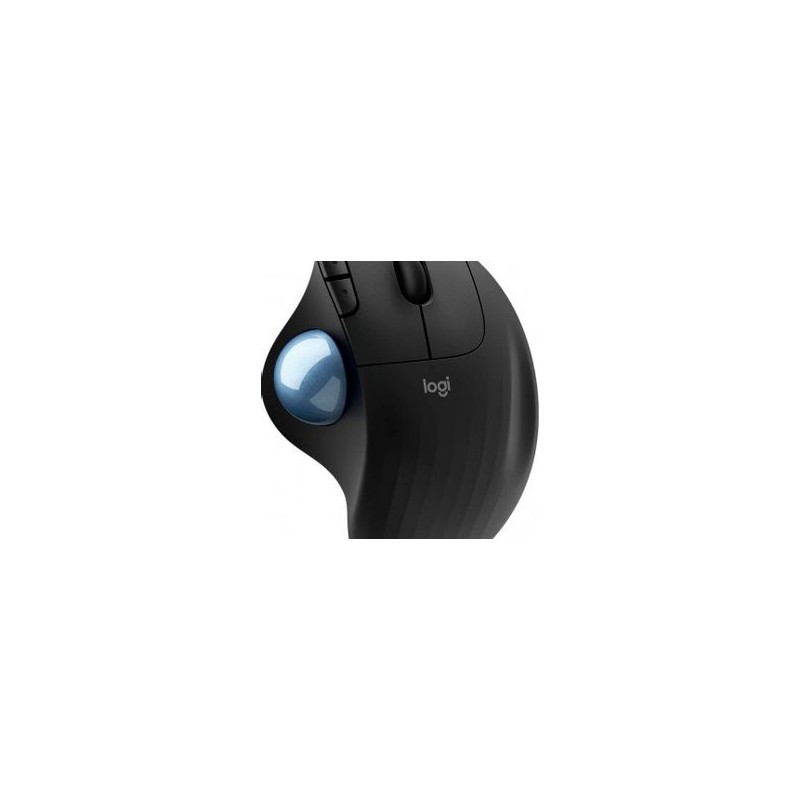 Mouse LOGITECH 910005869 Negro Inalámbrico TL1