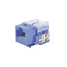 Módulo Jack 110 Cat6 Keystone Para Faceplate  Color Azul
